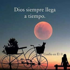 Meet your Posher, Abigail